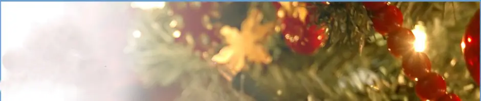 Blurred close-up of a yellow flower with indistinct background.
