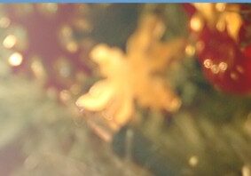 Blurred close-up of a yellow flower with indistinct background.